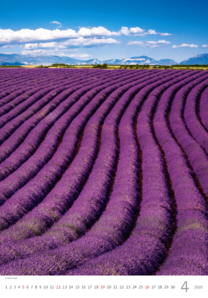 Monatsbild des Kalenders "Provence 2026", Monat April