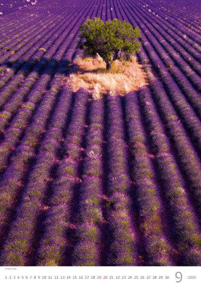 Monatsbild des Kalenders "Provence 2026", Monat September