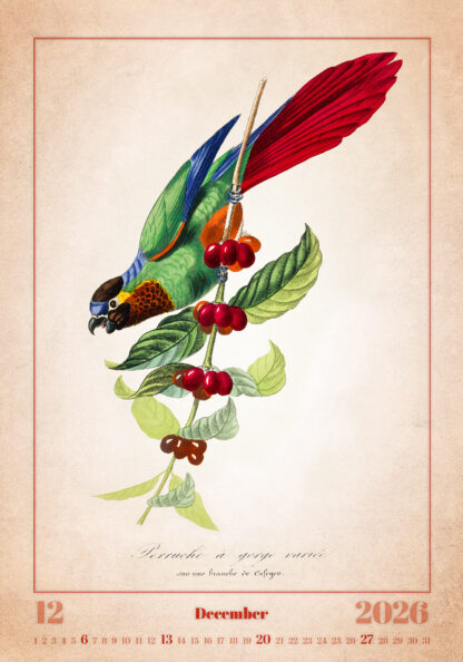 Monatsbild des Kalenders "Aviarium 2026", Dezember