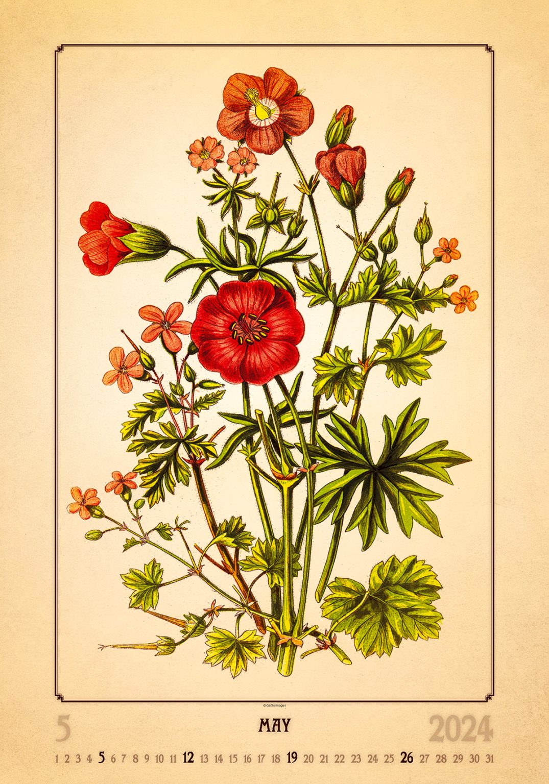 Herbarium 2024 B2B Kalender