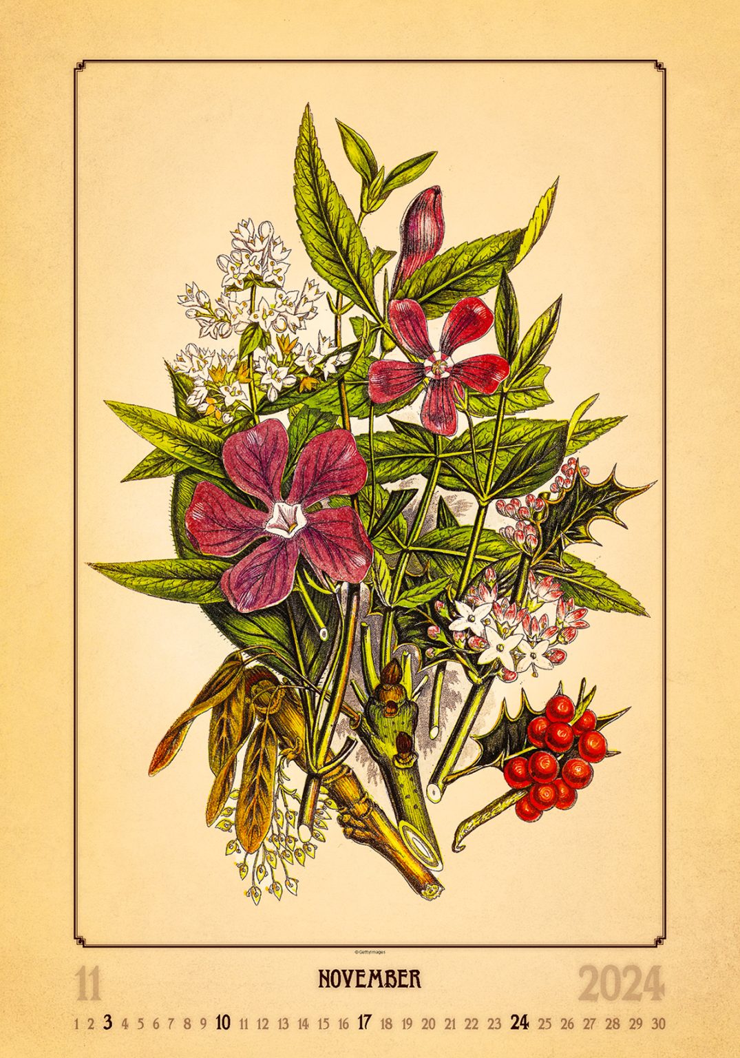 Herbarium 2024 B2B Kalender