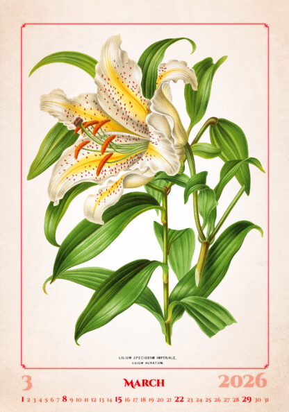 Kalenderbild des Kalenders "Herbarium 2026", Monat März