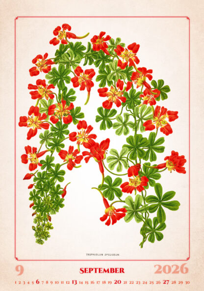 Kalenderbild des Kalenders "Herbarium 2026", Monat September