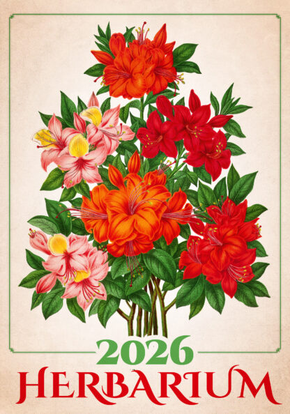 Titelbild des Kalenders "Herbarium 2026"