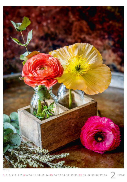 Monatsbild des Kalenders "Magic Flowers" 2026, Februar