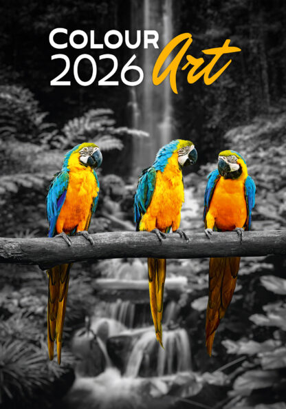Colour Art 2026