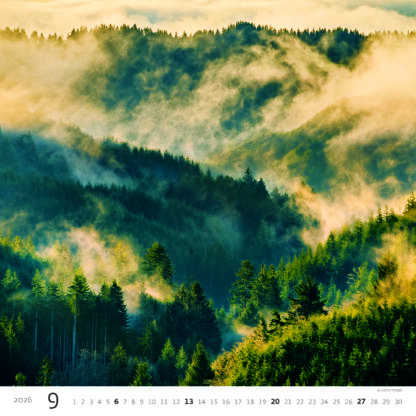 Monatsbild des Kalenders "Forest 2026", Monat September
