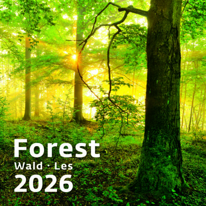 Titelbild des Kalenders "Forest 2026"
