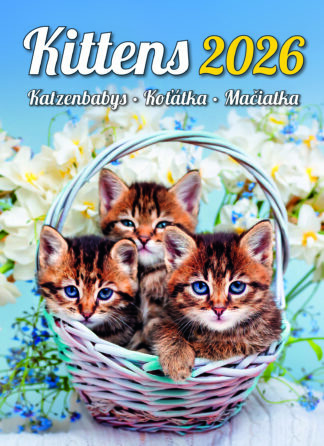 Titelbildbild des Kalenders "Kittens 2026"