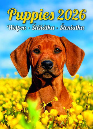 Titelbild Kalender "Puppies 2026"