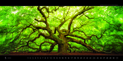Titelbild des Kalenders "Panoramaphoto 2026", Monat Mai