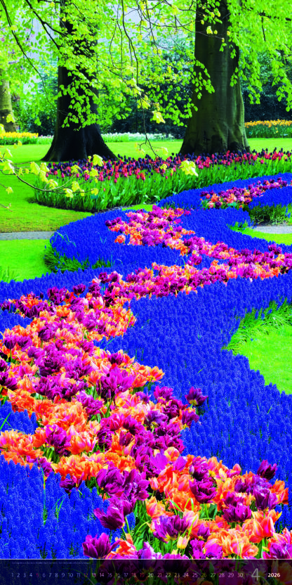 Monatsbild des Kalenders "Verticalphoto 2026", Monat April